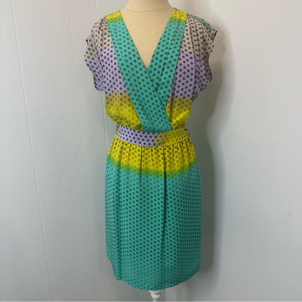 Presley Sky Silk Dress Size XS Polka Dot V-Neck Sheath Dress Bright Fun Colorful
